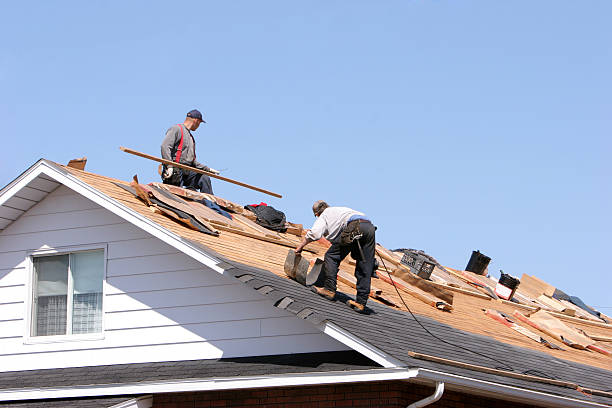 Best Solar Panel Roofing Installation  in Lynnwood, WA